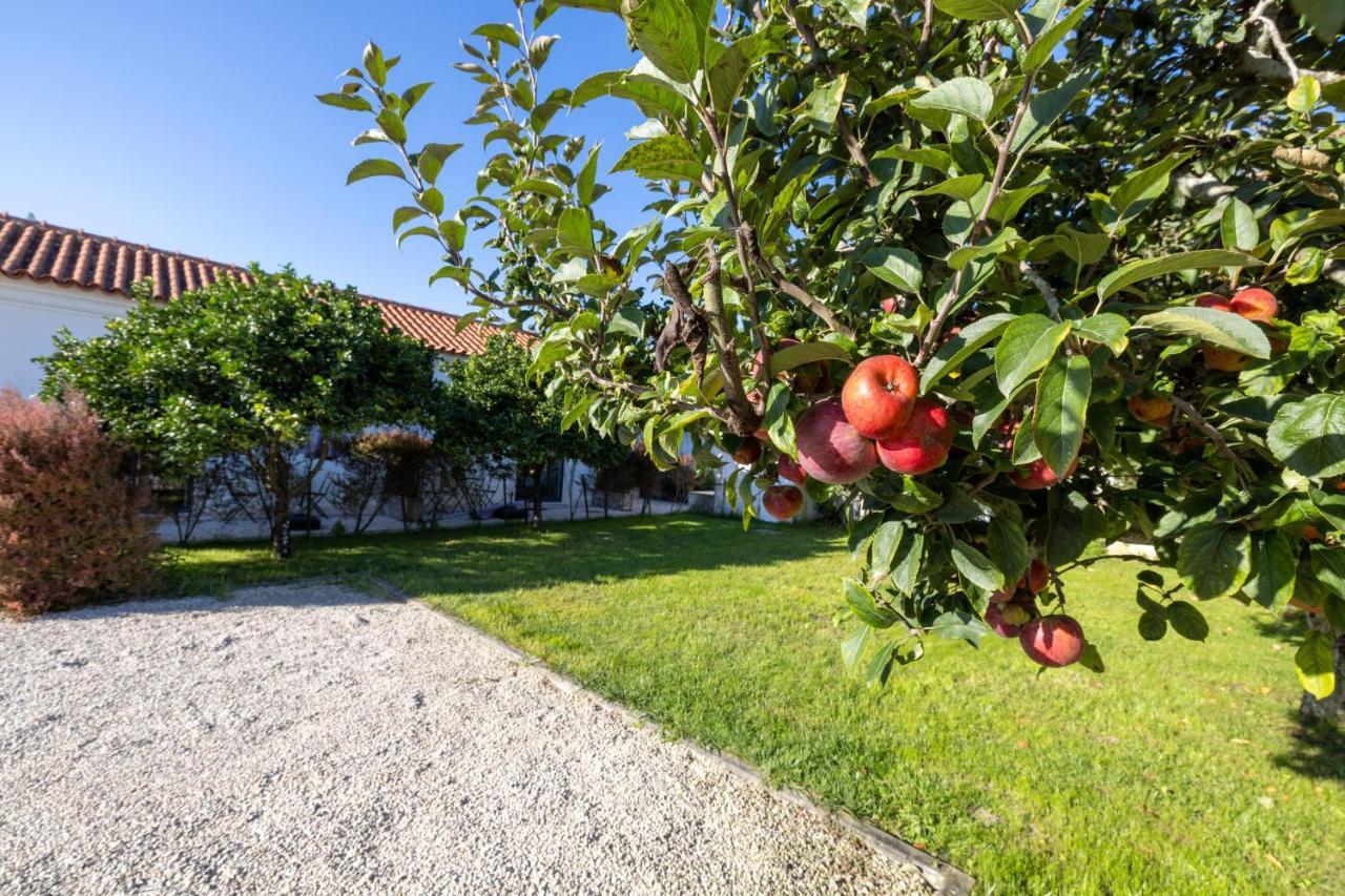 Casa Da Lagoa e Forja - Turismo Rural Mira  Exterior foto